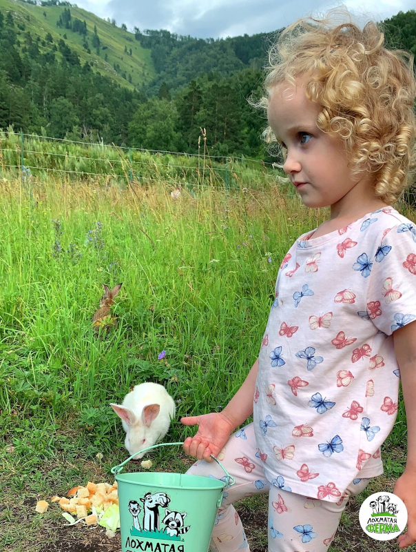 Лохматая ферма