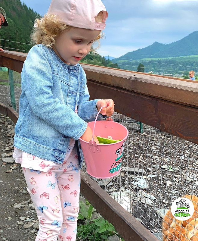 Лохматая ферма