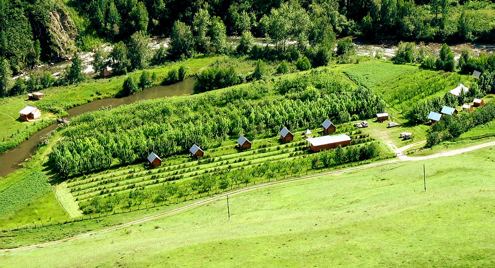 База Янтарный сад