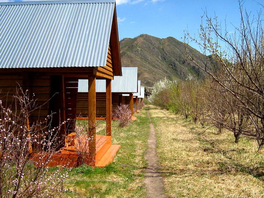 Двухместные брусовые домики