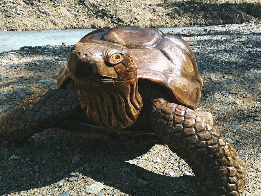 На Форелевых озерах