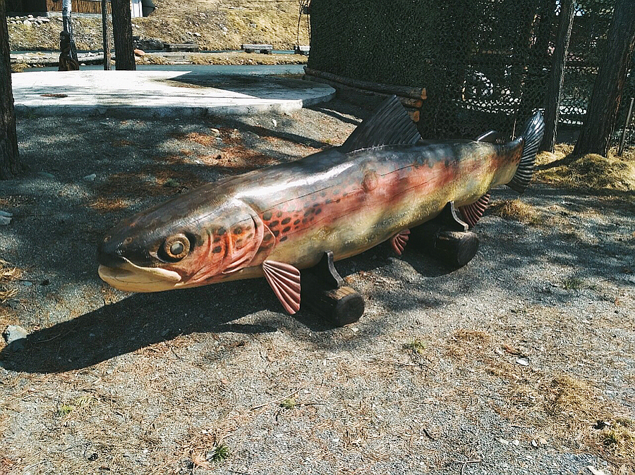 На Форелевых озерах