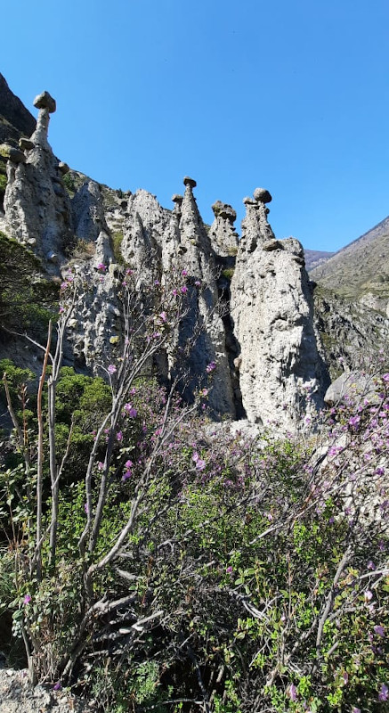 Каменные грибы на Алтае