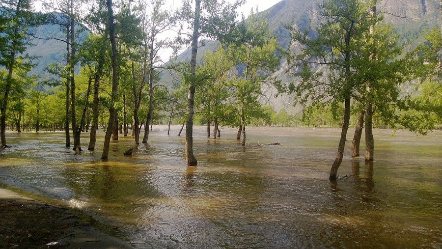 Река Чулышман