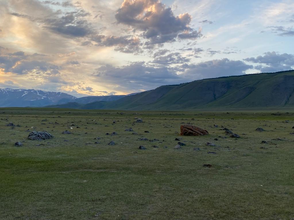 Отдых в Курае Курайская степь