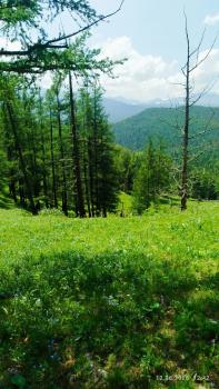 Природа Каракольской долины