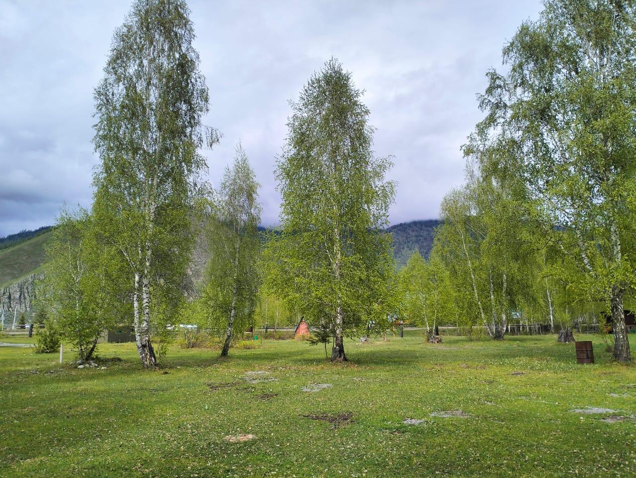 База отдыха  "Алтай у берез" Усть-Коксинский район