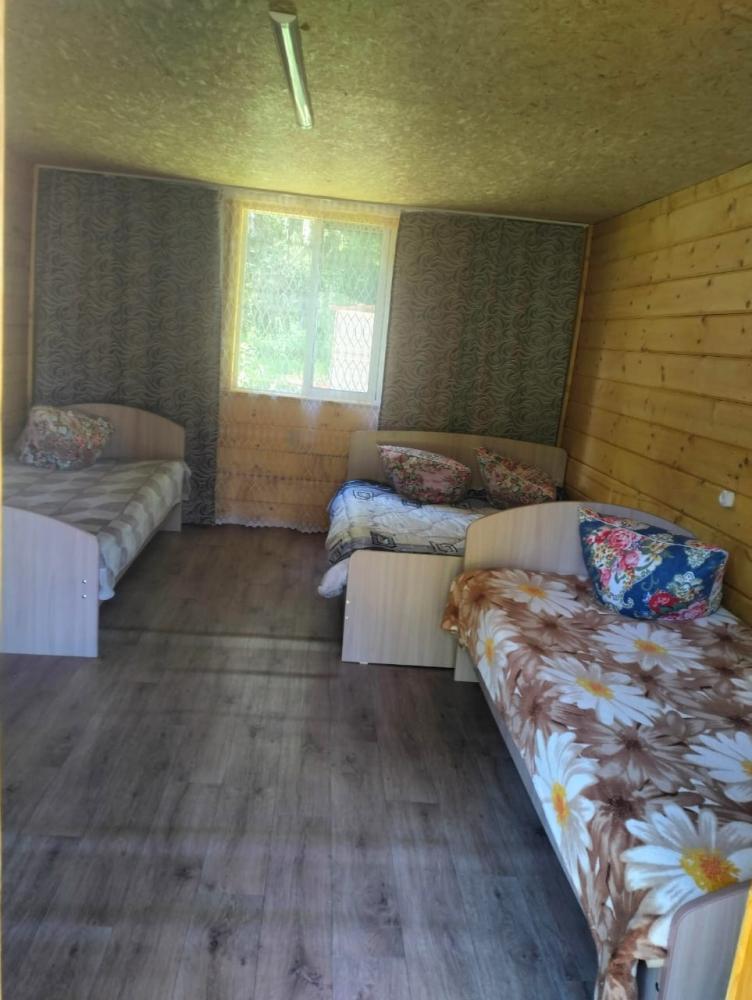 База отдыха "Алтай у берез" в Тюнгуре 