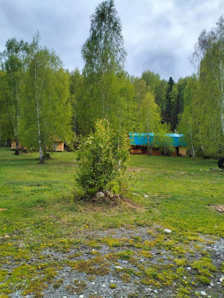 База отдыха "Алтай у берез" в Тюнгуре 