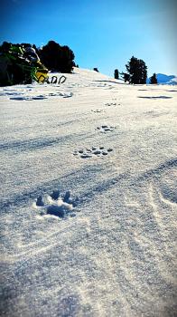 Зимние экскурсии