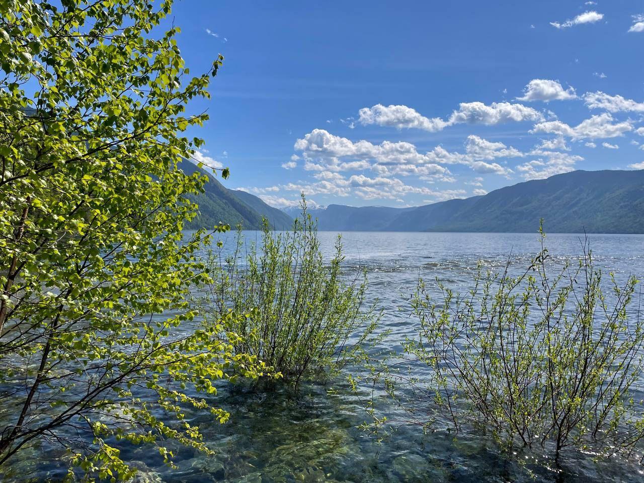 Прогулка на катере по красивым местам Телецкого озера