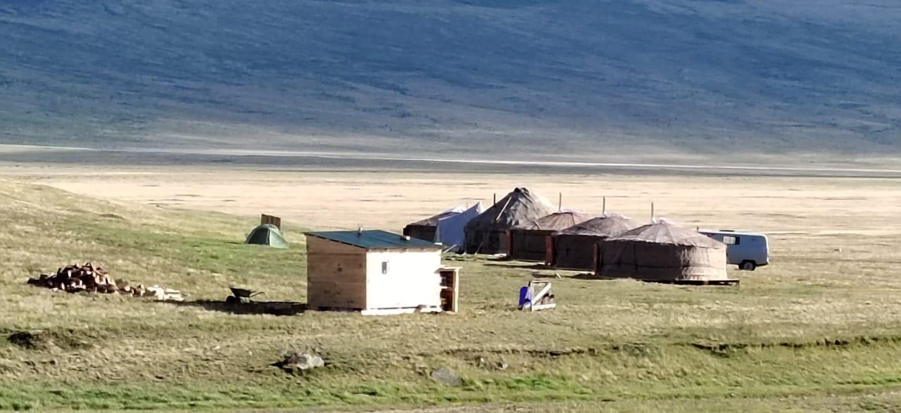 Юрточный кемпинг на Алтае "Сияние Укока"