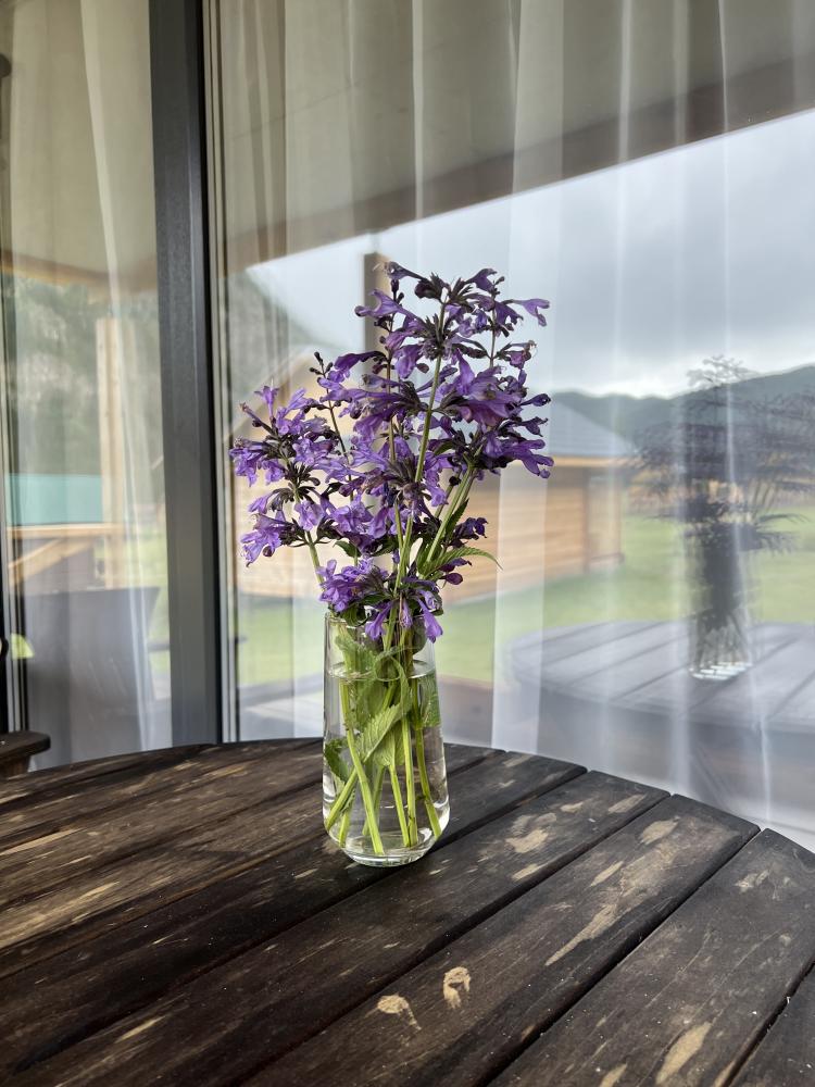 Снять жилье в Акташе на Алтае