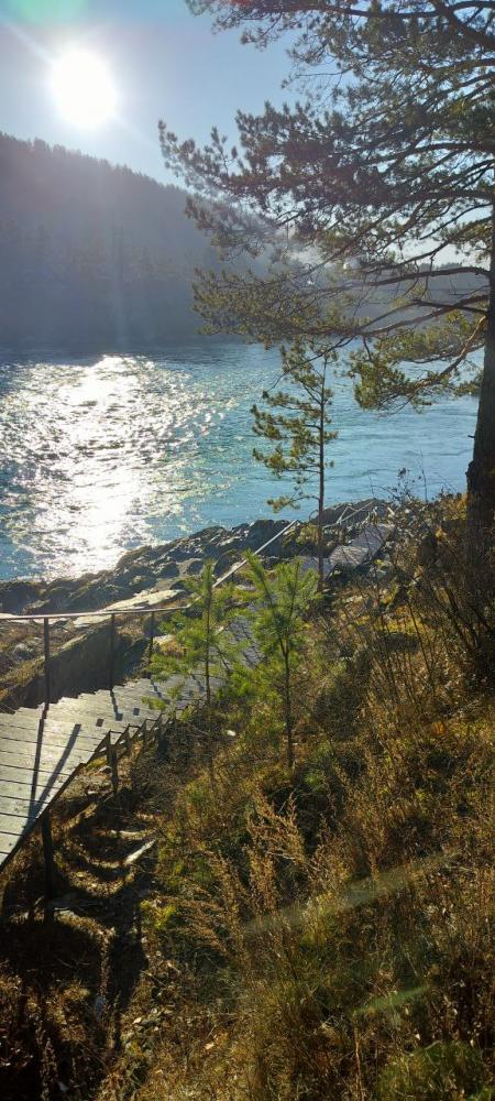 Родовая усадьба "Наш дом" Алтай