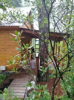 Дровяная баня