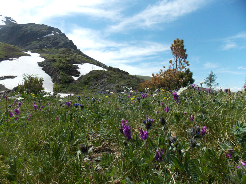 На Красной горе