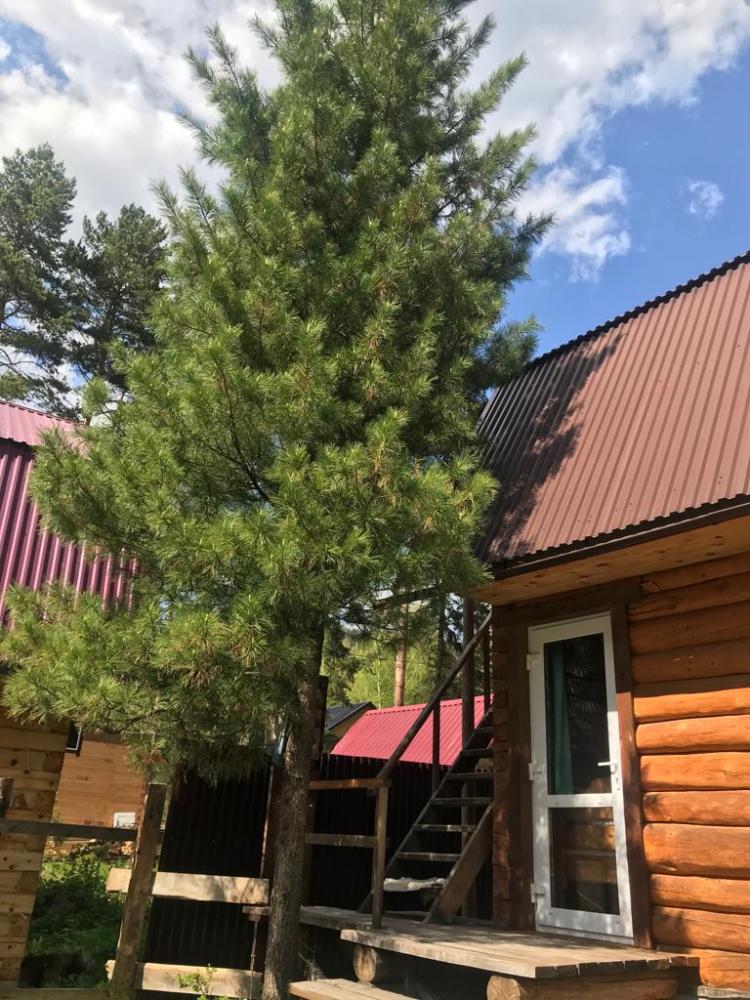 Коттедж 1 двухместный номер 2 этаж