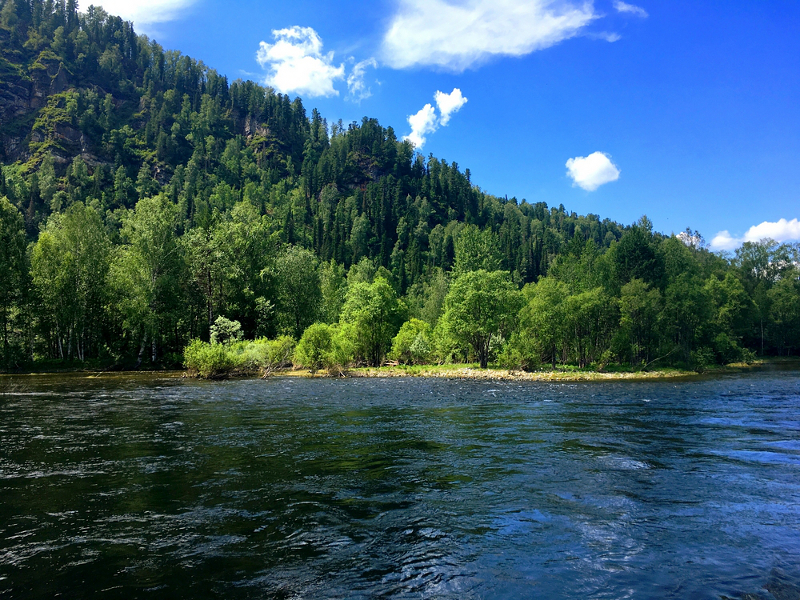 Река Бия