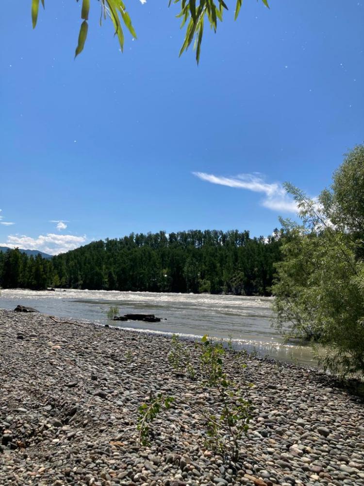 Берег Катуни около базы