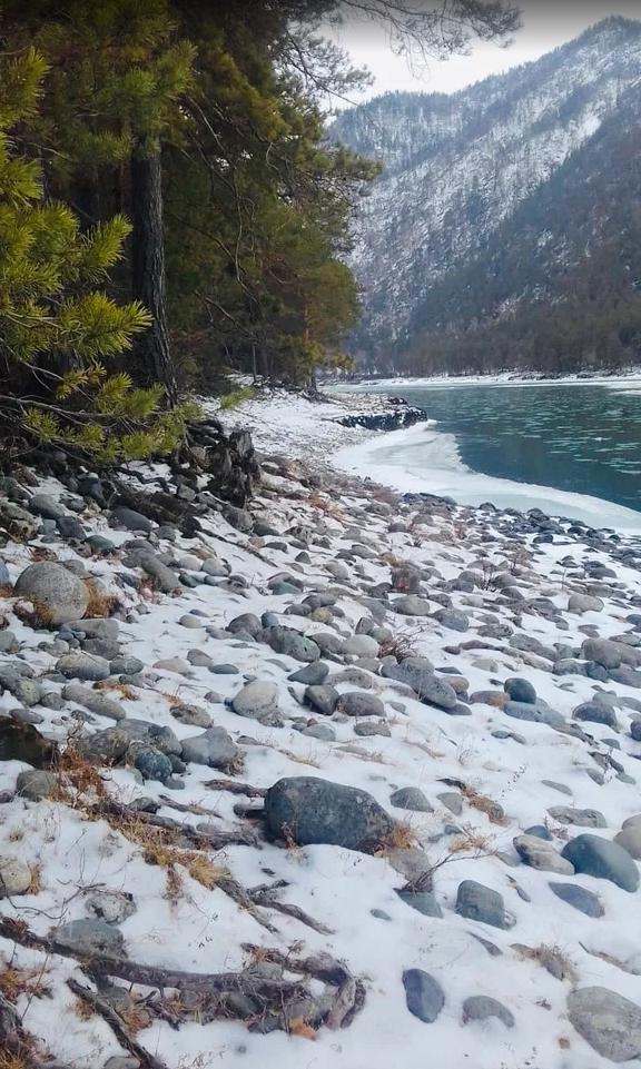 Берег реки Катунь 