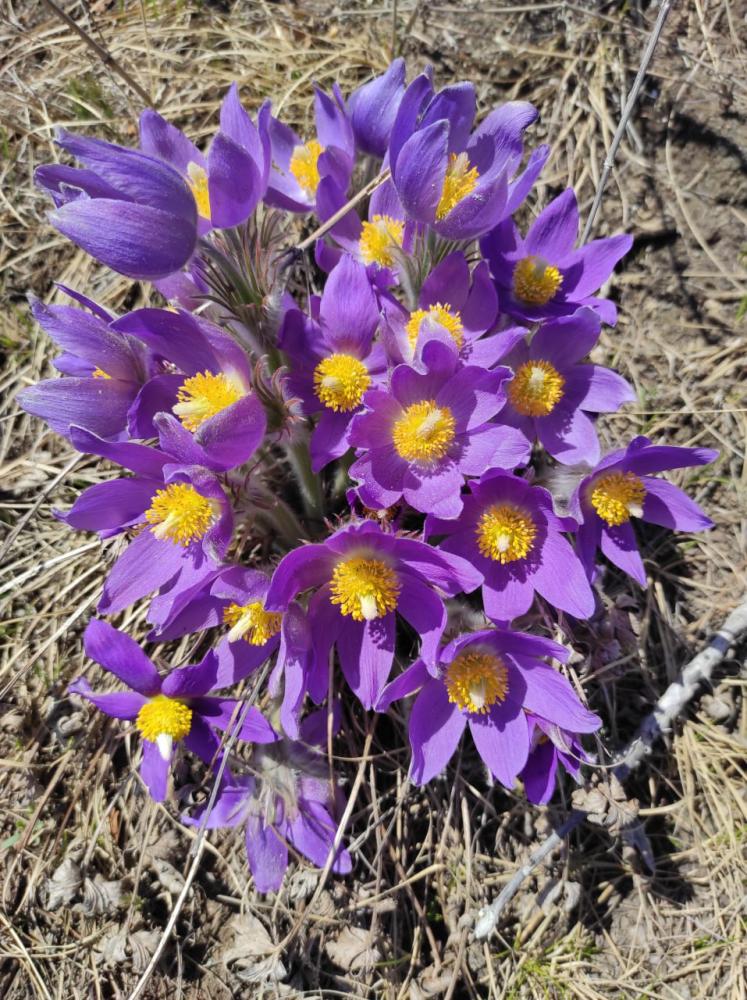 Майский тур на Алтай 2024