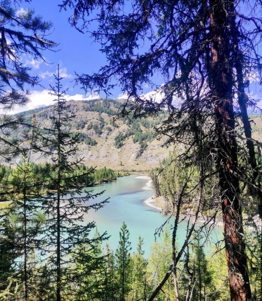 Река Аргут в районе Джазатора