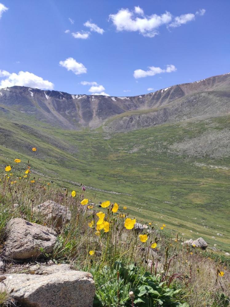 5-дневный тур на Алтай на плато Укок