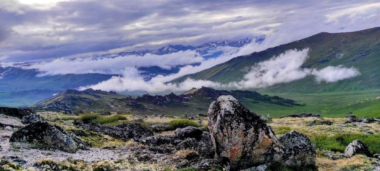 Тур в Горный Алтай в урочище Чокпартас 