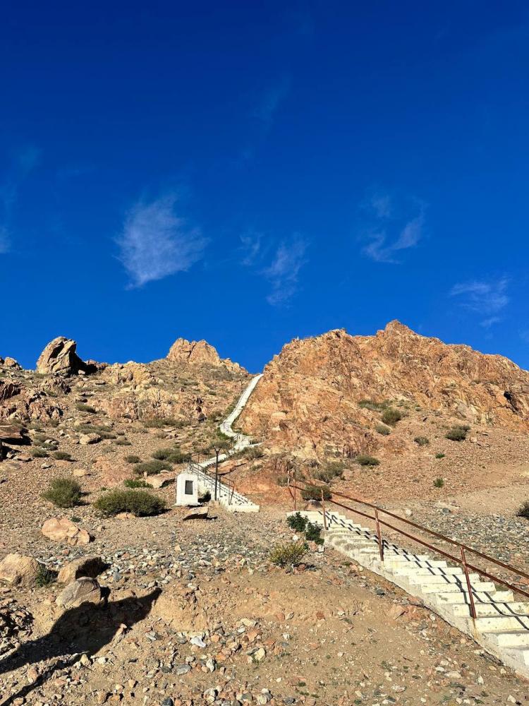 Туры в Монголию из Горно-Алтайска и Барнаула 2025 