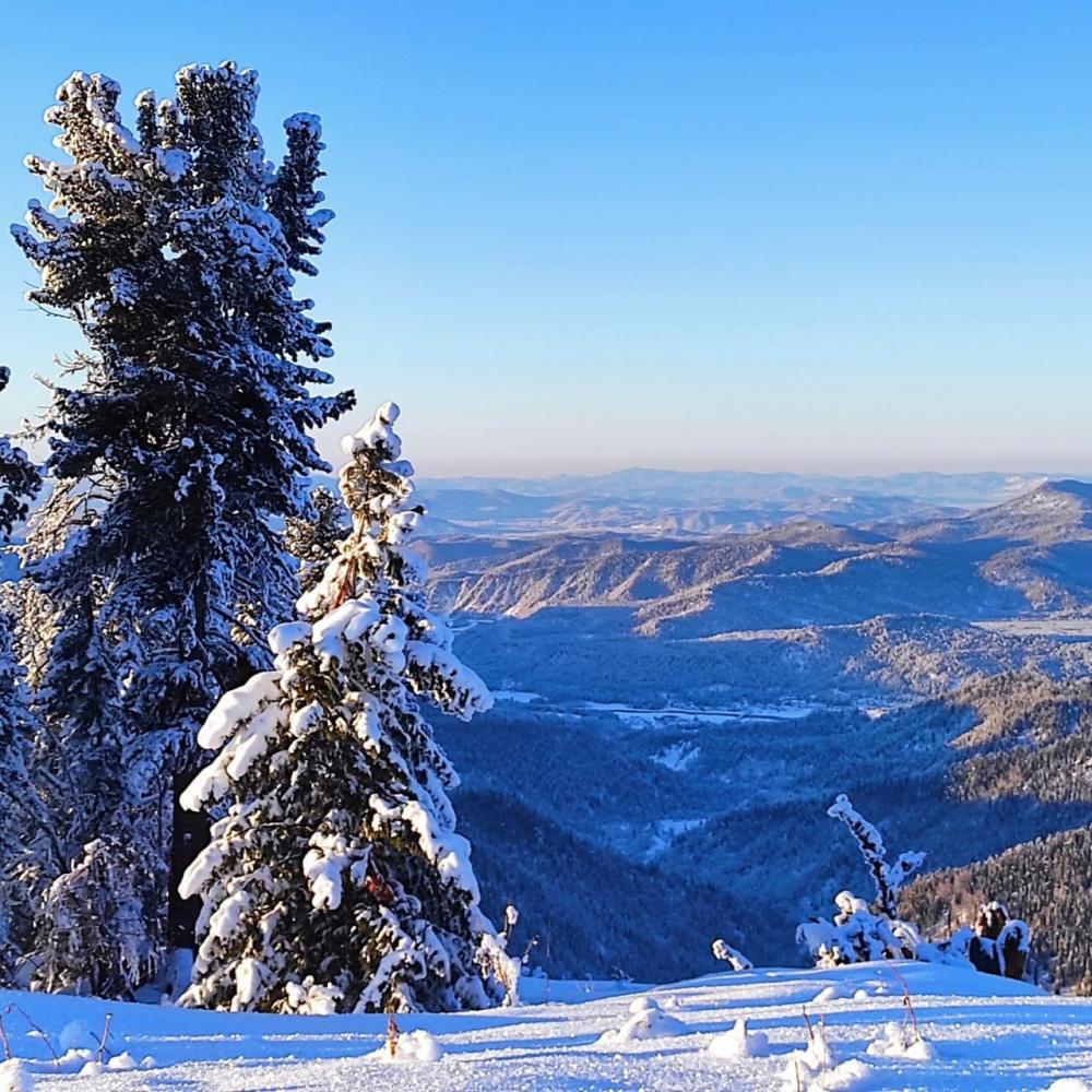 Горнолыжный курорт Телецкий