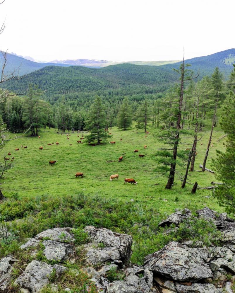 Алтай Каракольская долина Онгудайский район