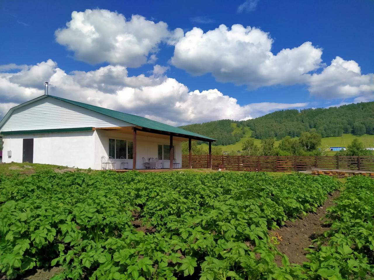 Гостевой дом "Шебалино" Алтай