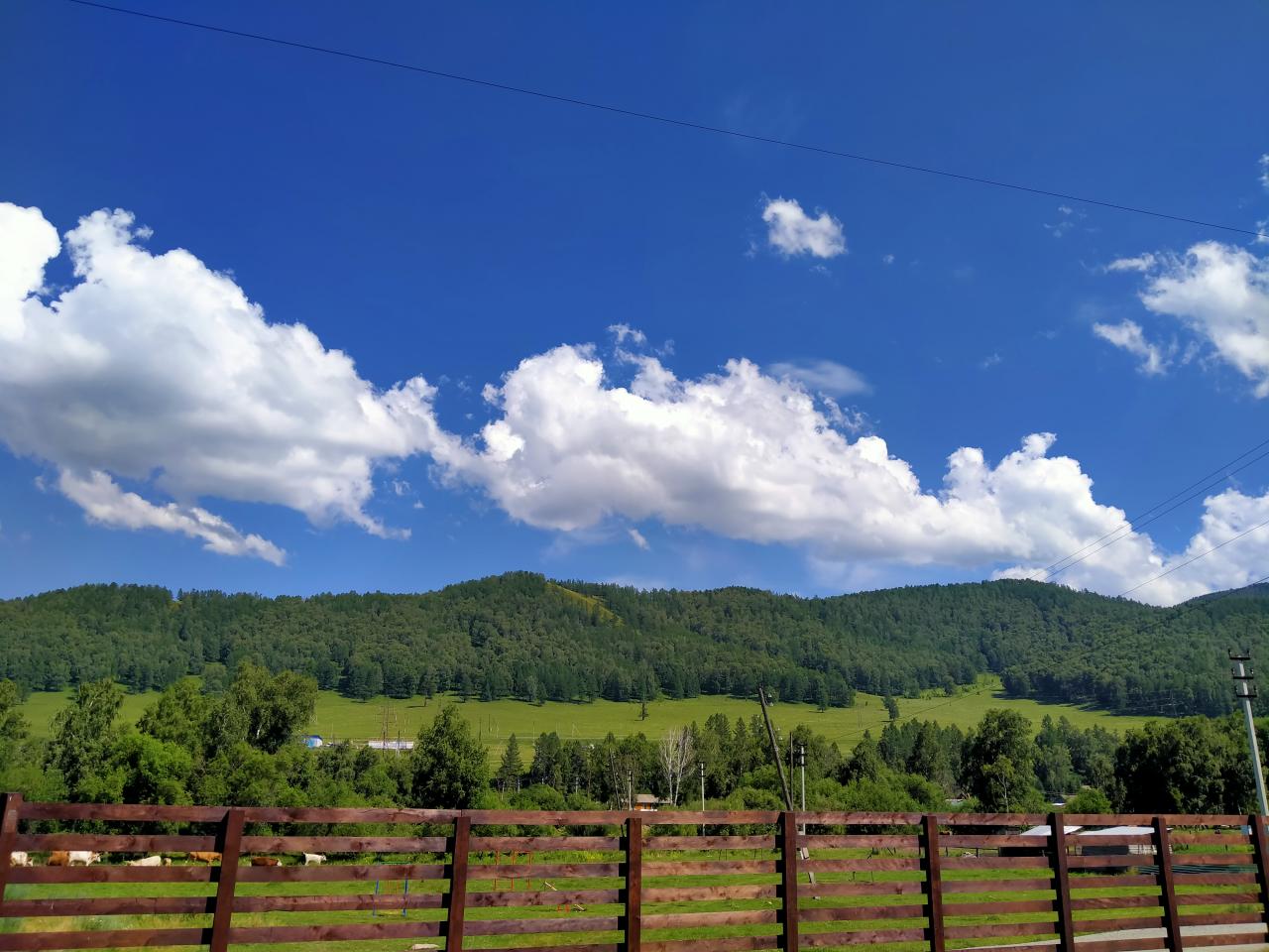 Вид с базы отдыха "Шебалино" Алтай