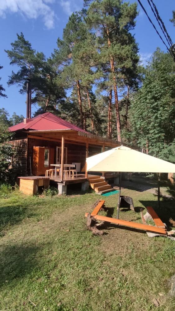 Дом с камином на Алтае