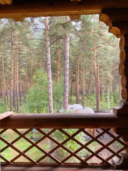 Вид на лес с балкона