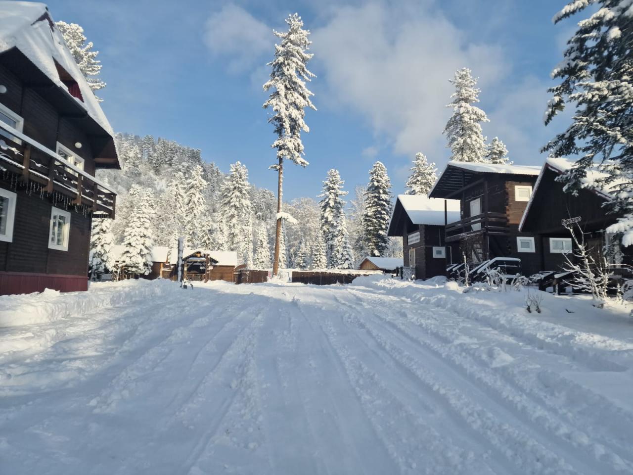 Гостевые дома "Эдельвейс" на Телецком озере