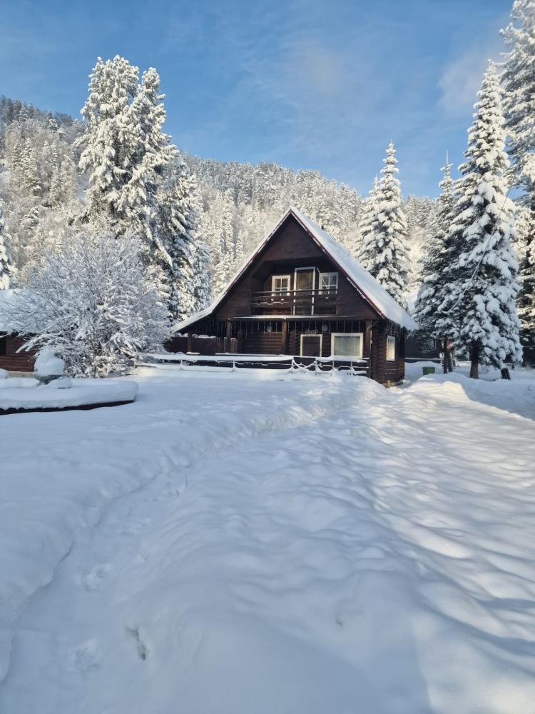 Баня на Телецком озере 