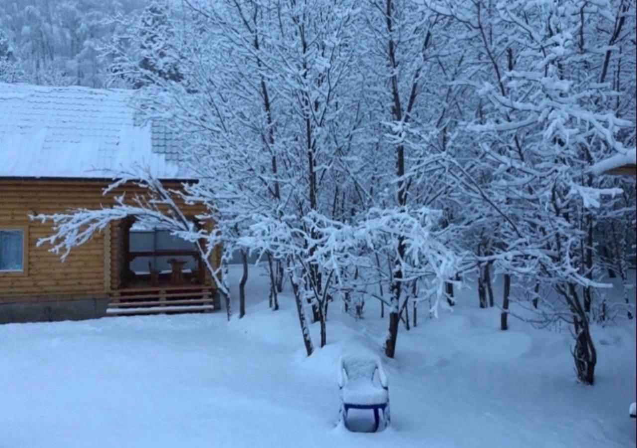 Коттедж в Горном Алтае зимой вблизи Чемала