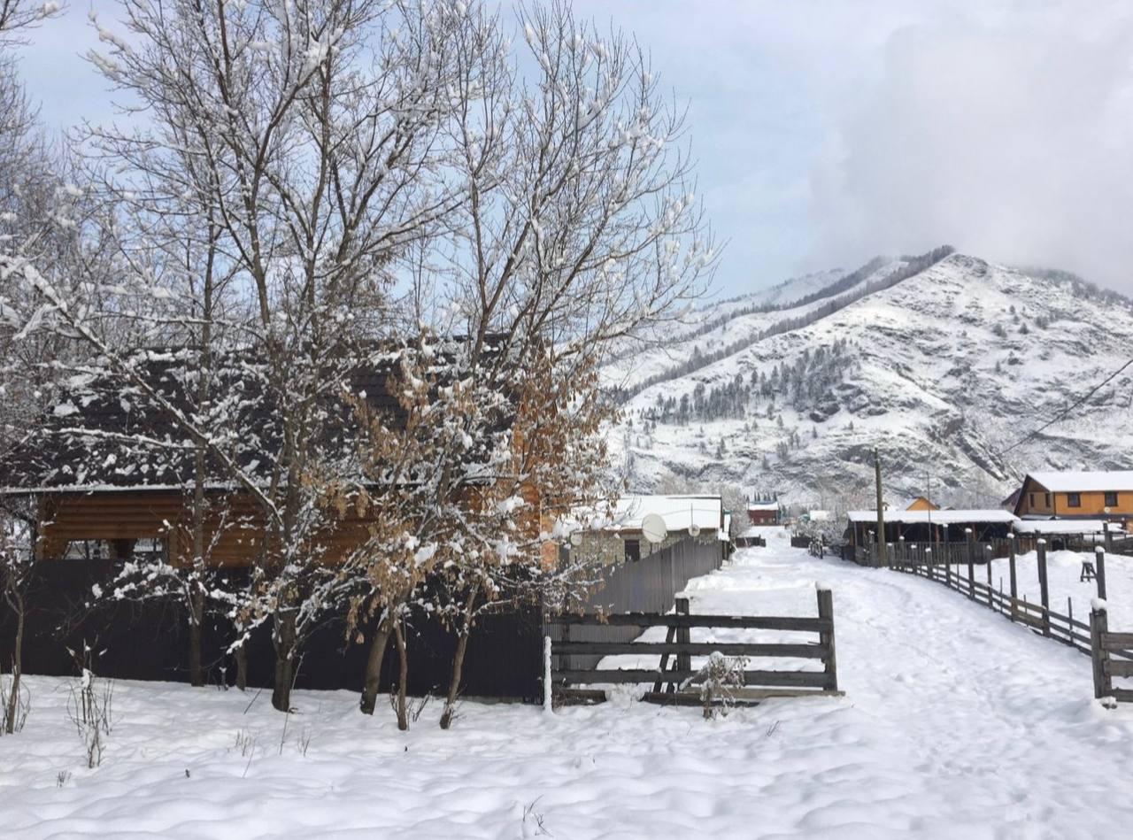 Кедровый дом в селе Анос в Горном Алтае