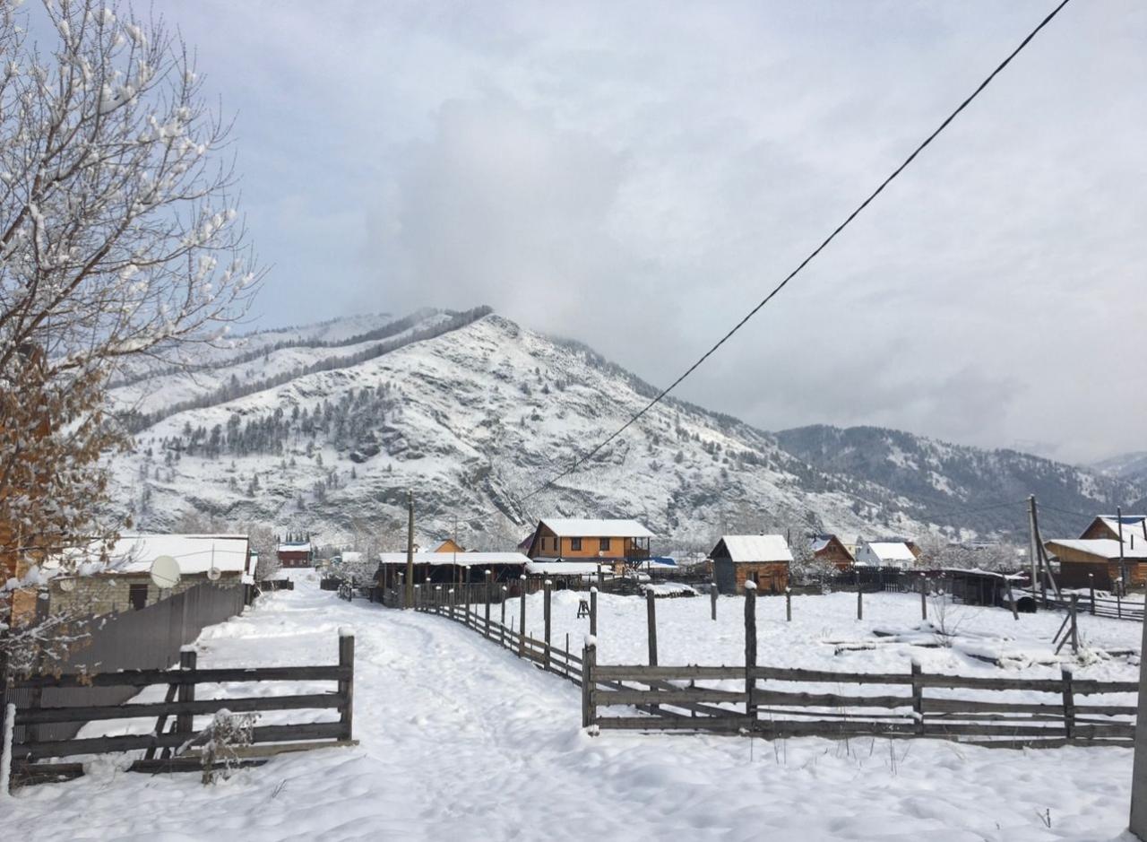 Усадьба "Уютное местечко" Чемальский район