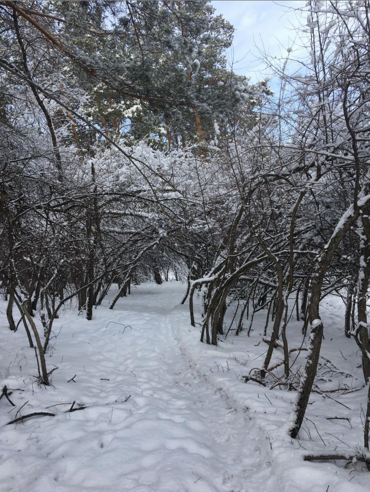 Усадьба "Уютное местечко" Чемальский район