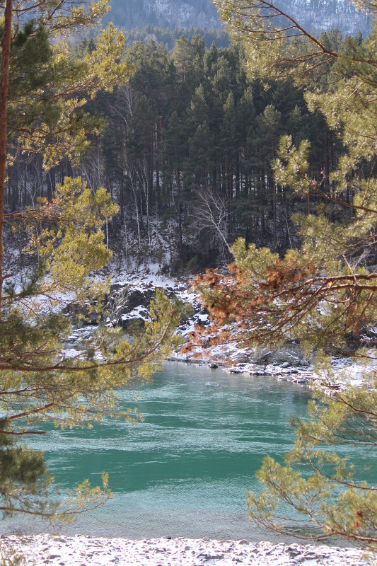 Река Катунь Алтай