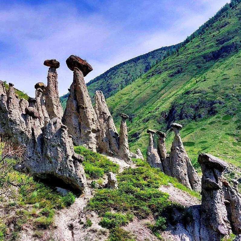 Каменные грибы