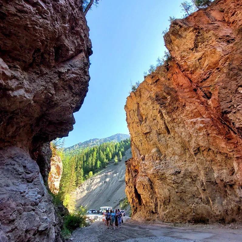 Красные ворота