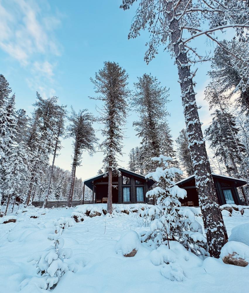 Территория 