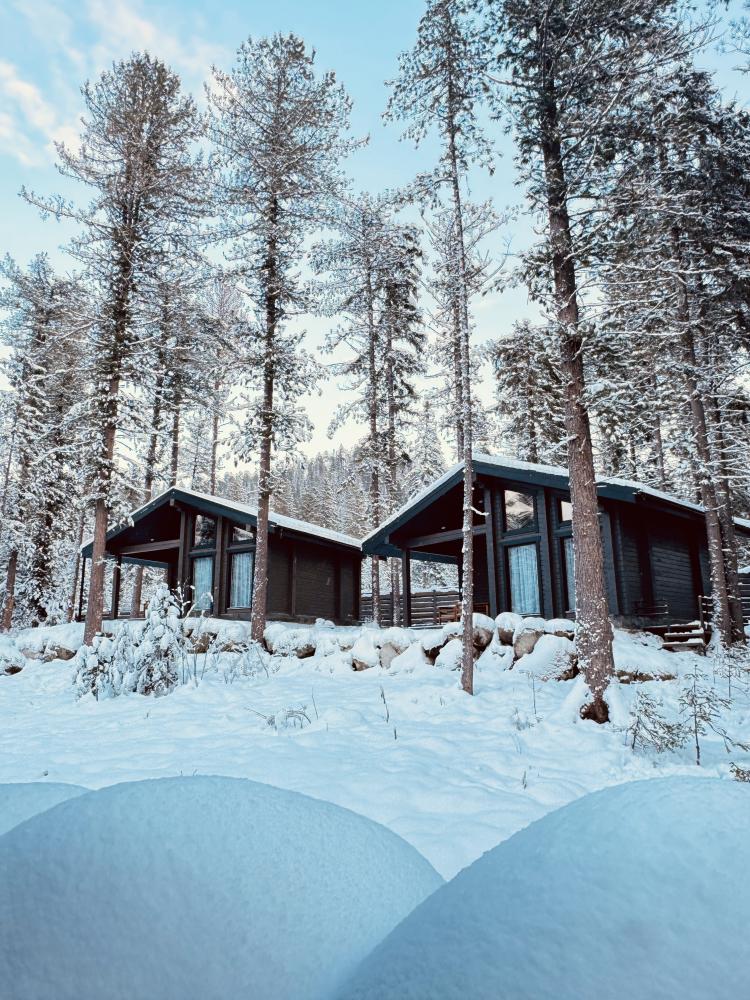  Шале комплекс ВМЕСТЕ