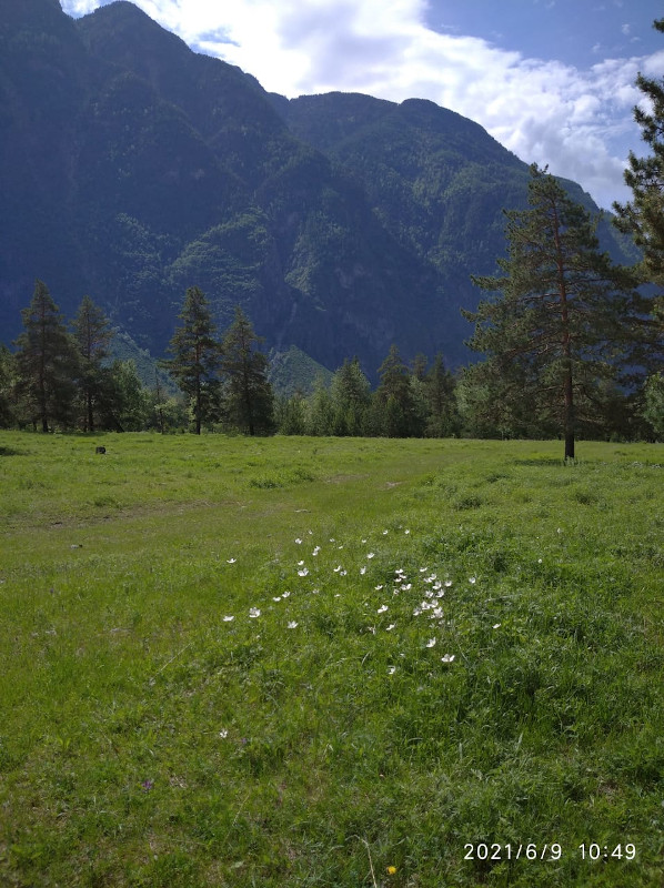 Отдых Горный Алтай