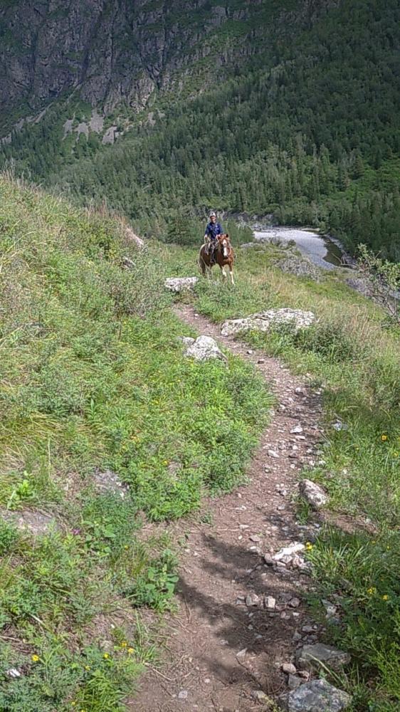 Конные прогулки в долине Чулышмана