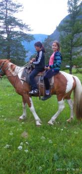 Конные прогулки в долине Чулышмана