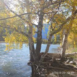 Отдых Горный Алтай